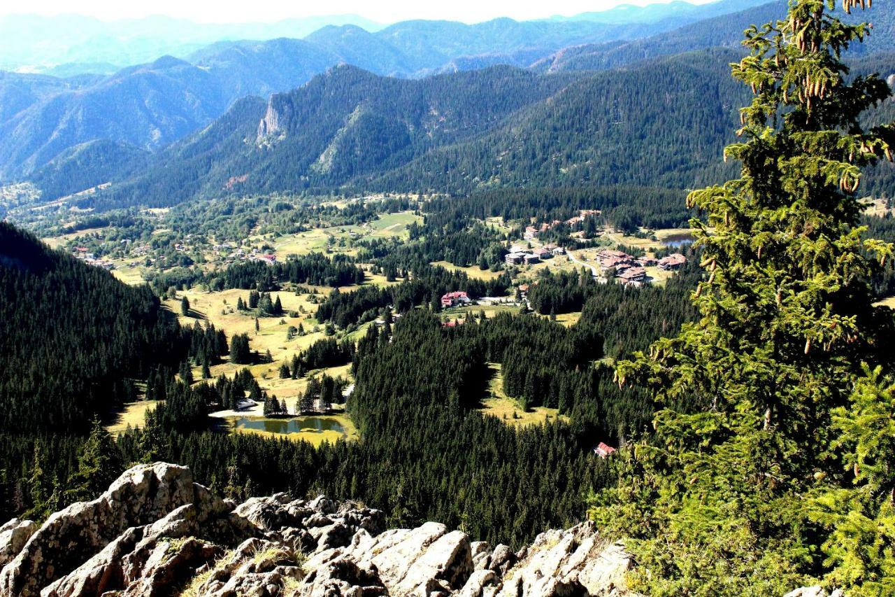 Pamporovo Hotel Snezhanka A425 エクステリア 写真