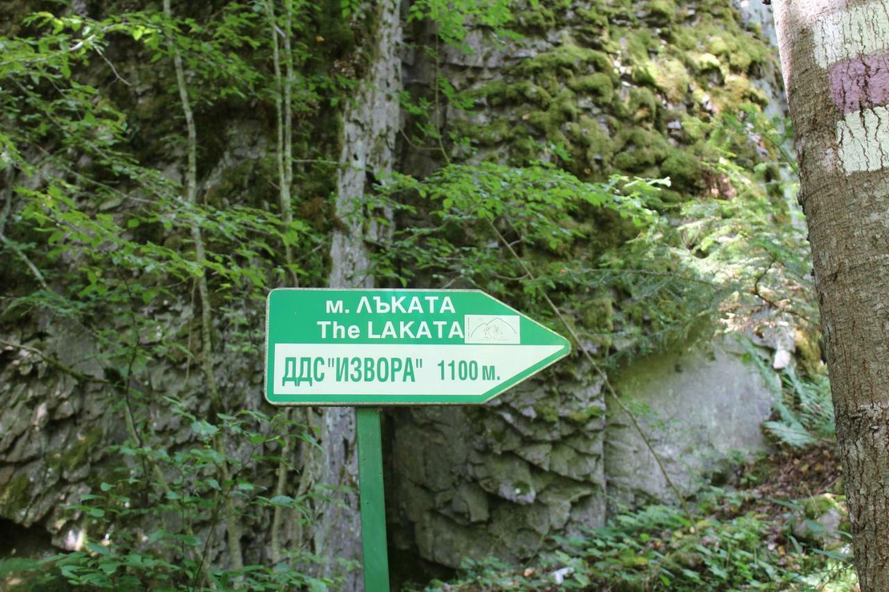 Pamporovo Hotel Snezhanka A425 エクステリア 写真