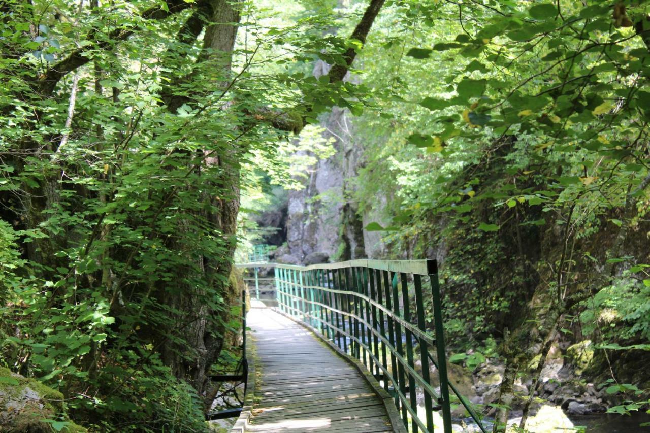 Pamporovo Hotel Snezhanka A425 エクステリア 写真