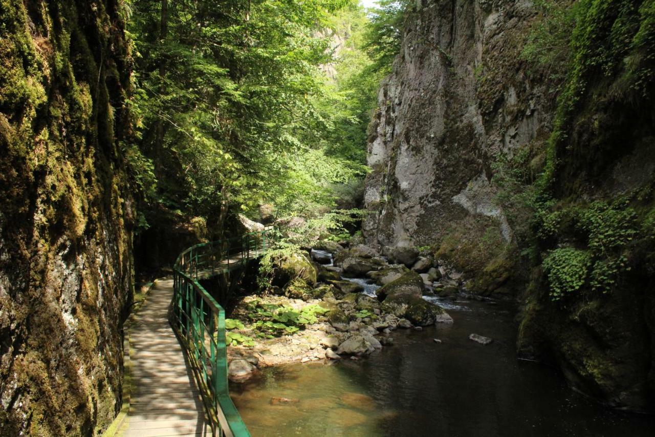 Pamporovo Hotel Snezhanka A425 エクステリア 写真