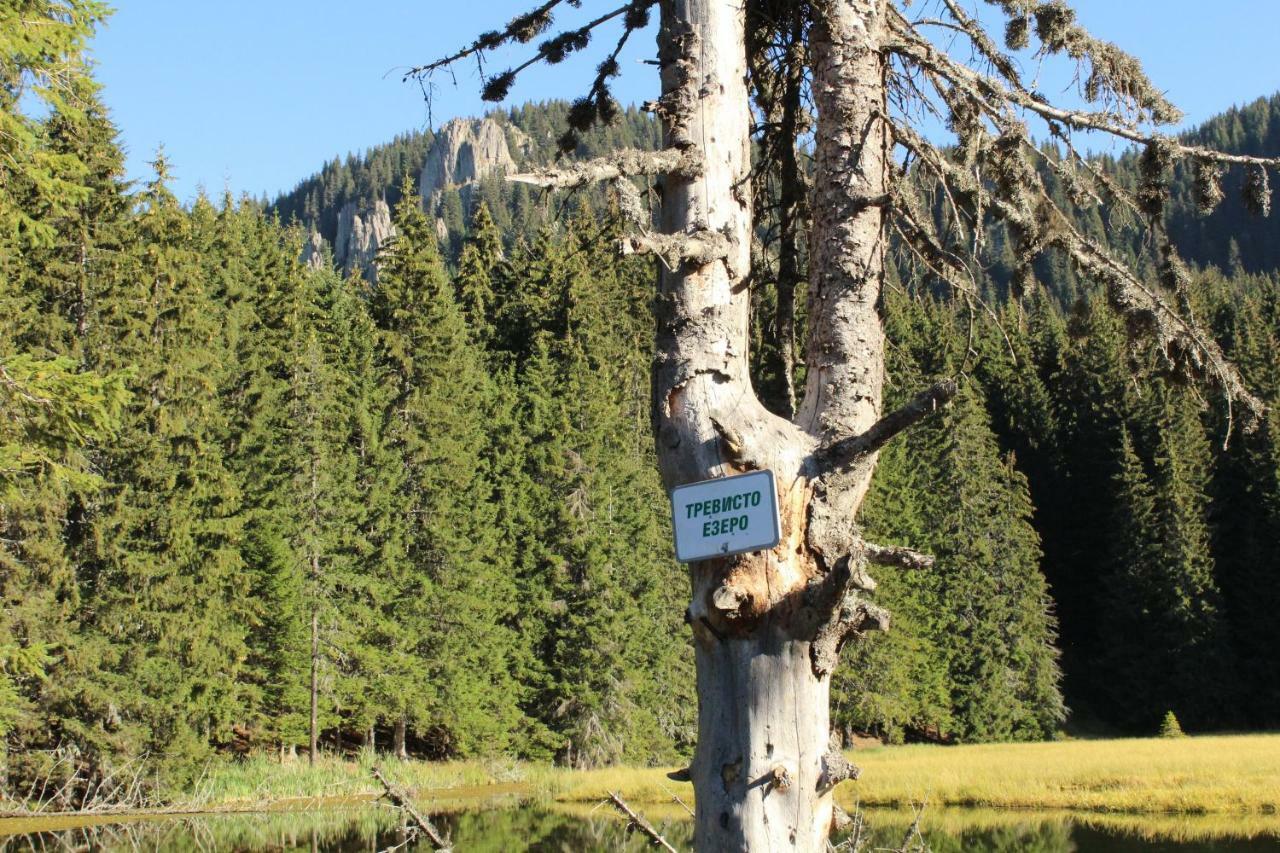 Pamporovo Hotel Snezhanka A425 エクステリア 写真